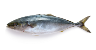 atun